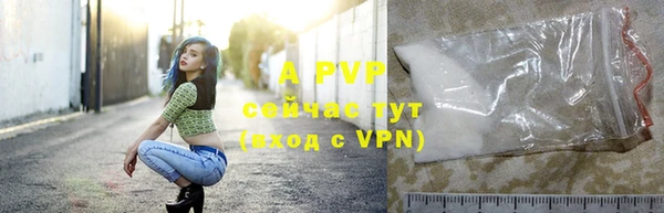 соль ск Богданович