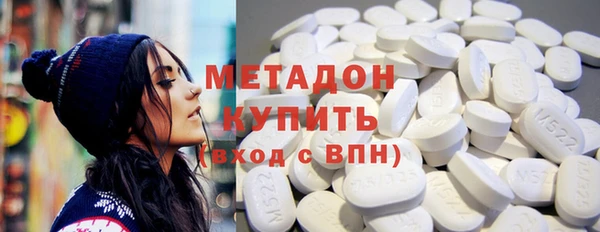 сатива Беломорск