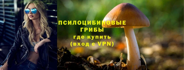 марки nbome Богородицк