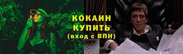 соль ск Богданович