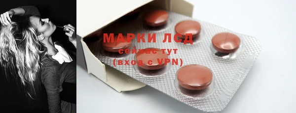 соль ск Богданович