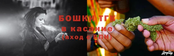соль ск Богданович