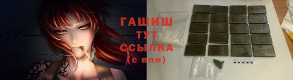 сатива Беломорск