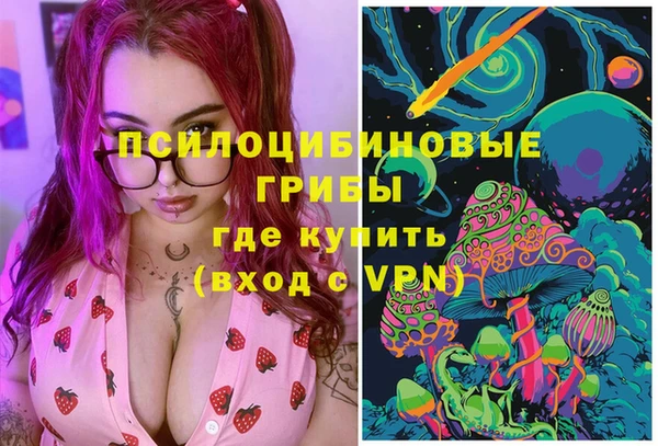 соль ск Богданович