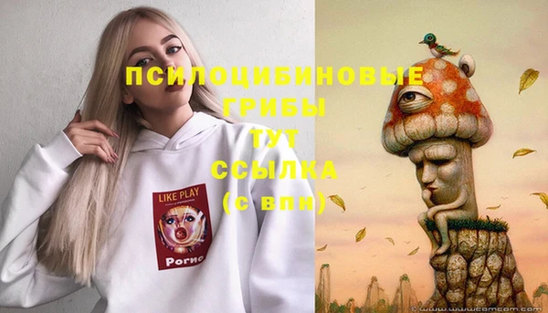 марки nbome Богородицк