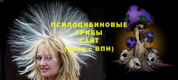 МДМА Белокуриха