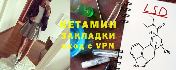 сатива Беломорск